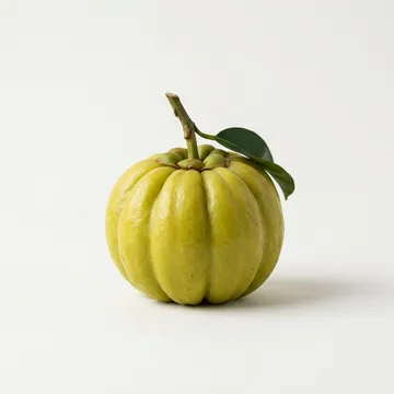 Extracto de Garcinia Cambogia